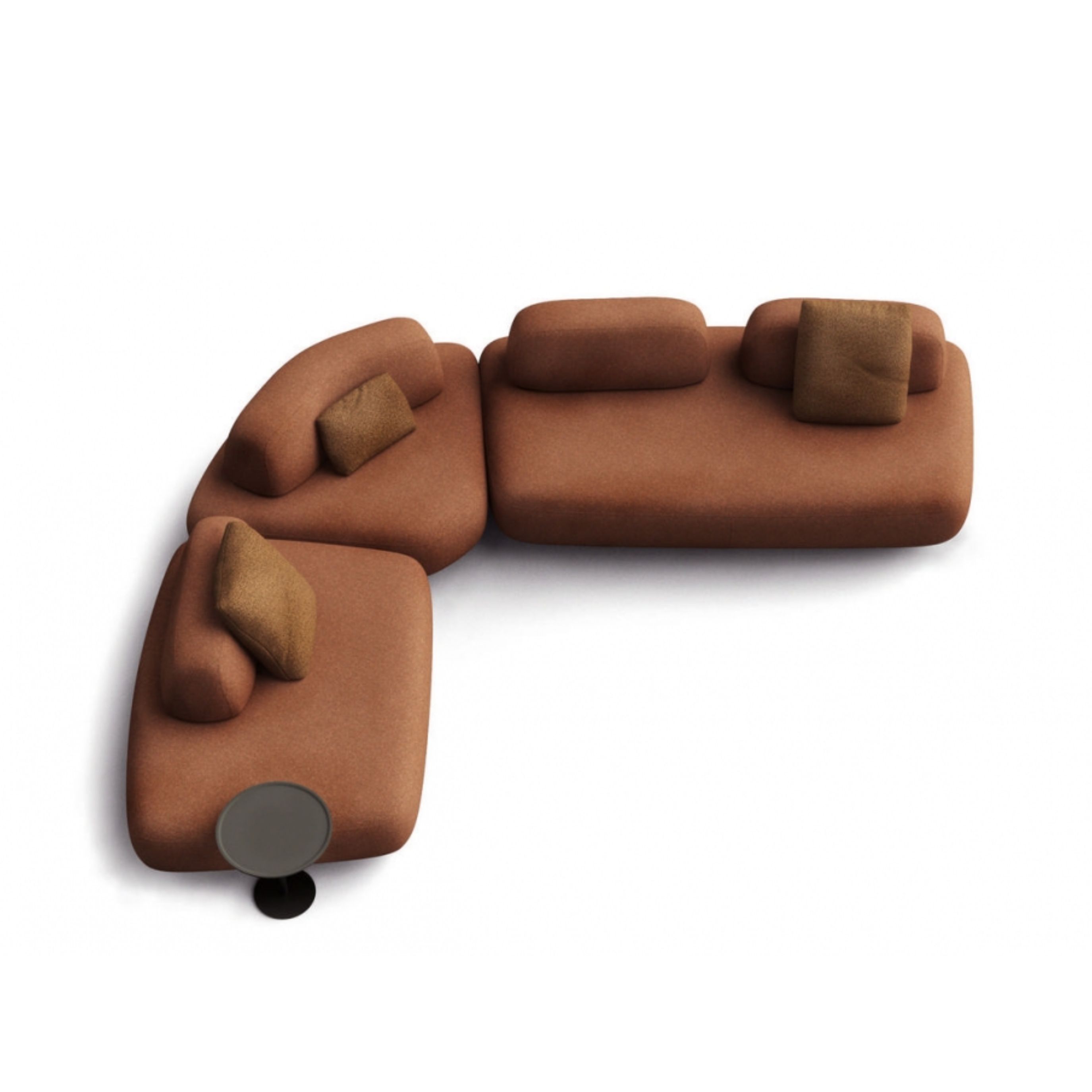 Curve Sectional